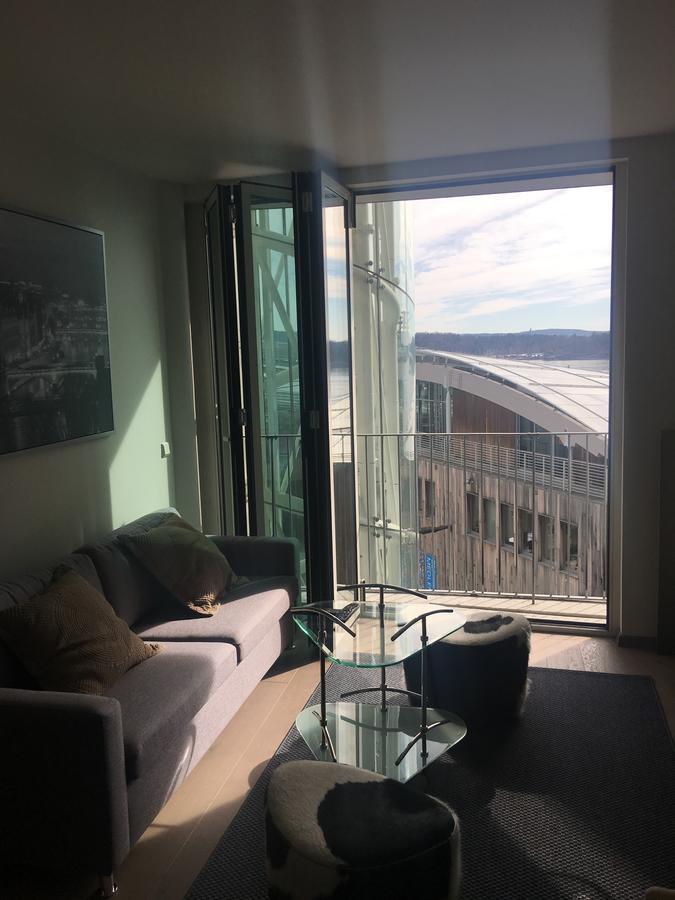 Luxury 1 Bedroom With Seaview Apartment Oslo