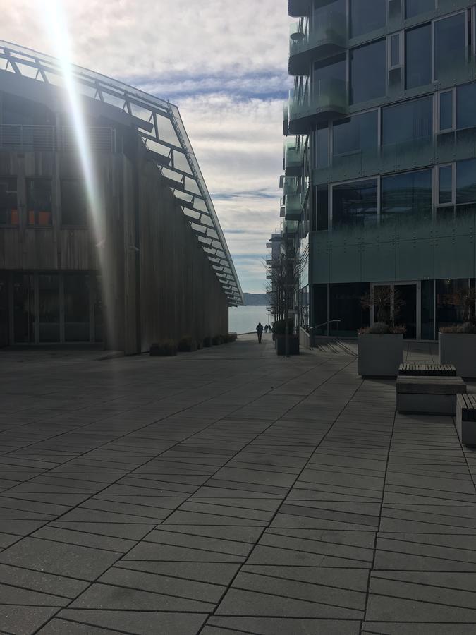 Luxury 1 Bedroom With Seaview Apartment Oslo